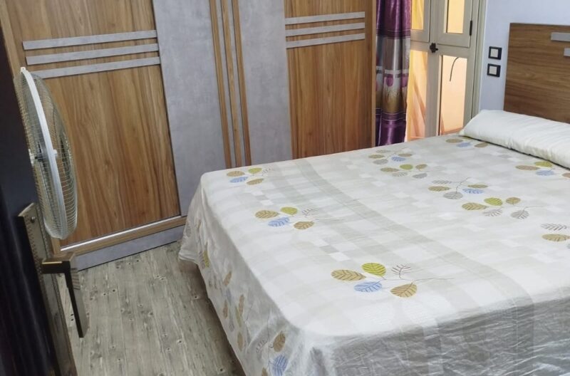 WhatsApp Image 2026-03-09 at 06.24.27 (4)